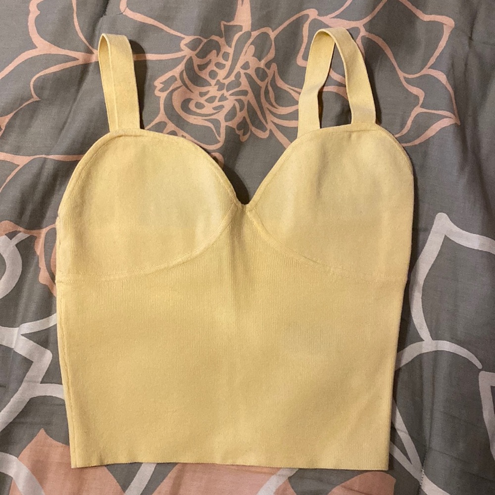 Aritzia sweater bustier top
